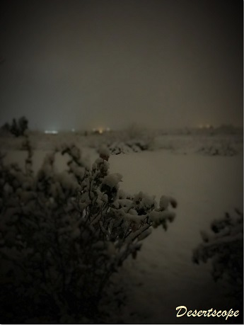 December 27th in southern New Mexico, about 3 a.m., taken with ambient light only (no flash).